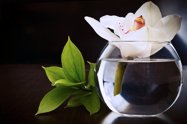 Similar image 10919322