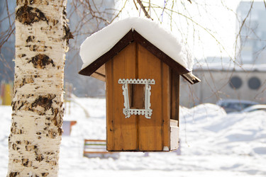 Similar image 10935508