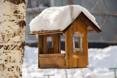 Similar image 10935509