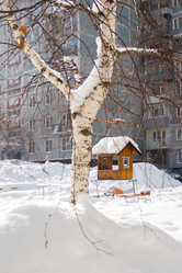 Similar image 10935511