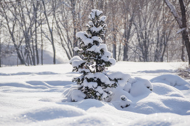 Similar image 10943814