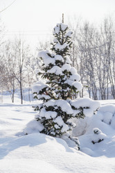 Similar image 10943815