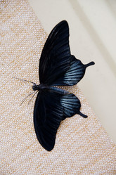 Similar image 10920760