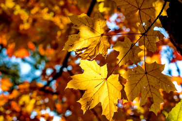 Similar image 10920870