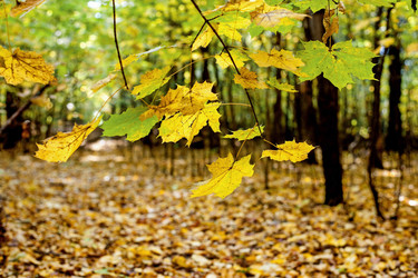 Similar image 10920761