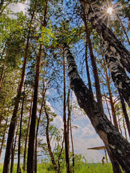 Similar image 10920762