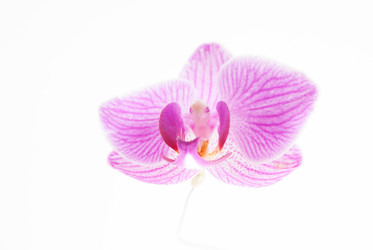 Similar image 10924361