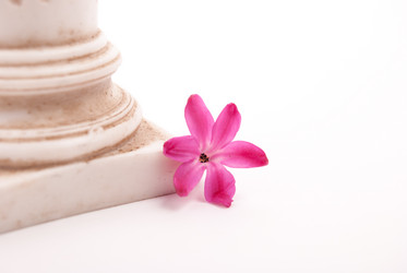 Similar image 10924362