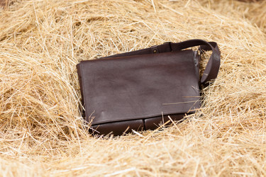 Similar image 10930439