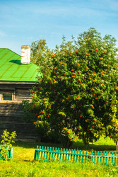 Similar image 10924384