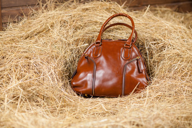 Similar image 10930471