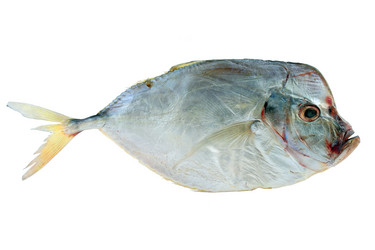 Similar image 10920676