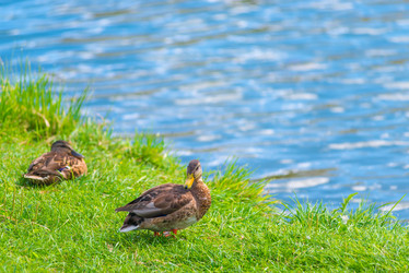 Similar image 10928133