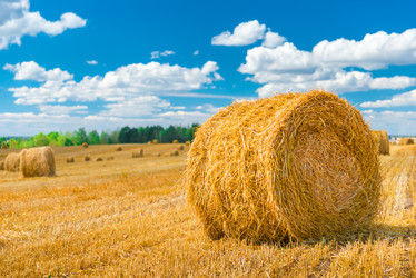 Similar image 10928134