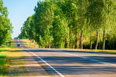 Similar image 10928137