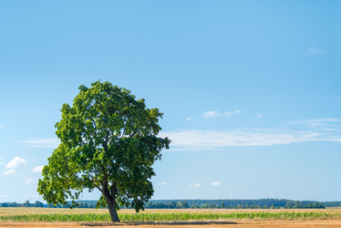 Similar image 10928153