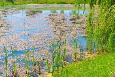 Similar image 10928167