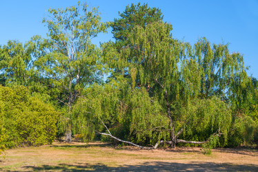 Similar image 10928176