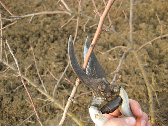 Similar image 10925361