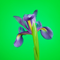 Similar image 10922354