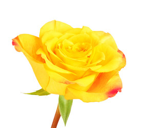 Similar image 10922357