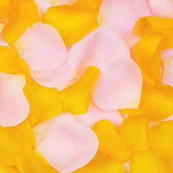 Similar image 10922361