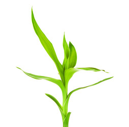 Similar image 10922386