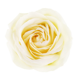 Similar image 10922390