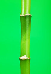 Similar image 10922392