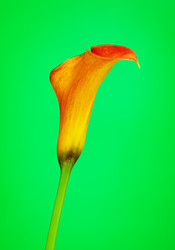 Similar image 10922261