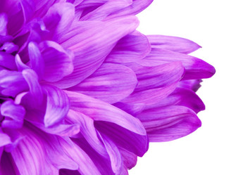 Similar image 10922265