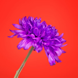 Similar image 10922266