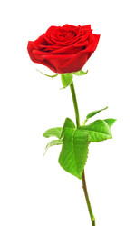 Similar image 10922268