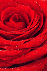 Similar image 10922269