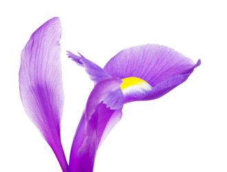 Similar image 10922271