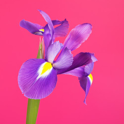 Similar image 10922273