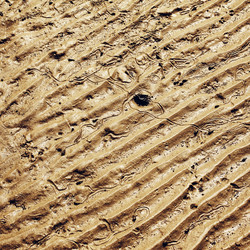 Similar image 10922274