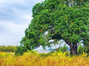 Similar image 10922278