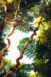 Similar image 10922281