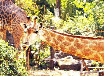 Similar image 10922285