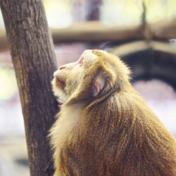 Similar image 10922286