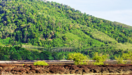 Similar image 10922296