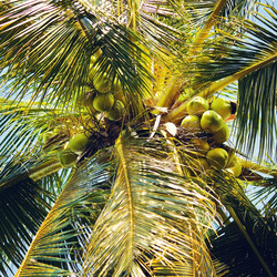 Similar image 10922298