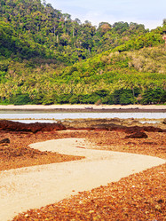 Similar image 10922316