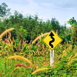 Similar image 10922319