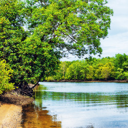 Similar image 10922323