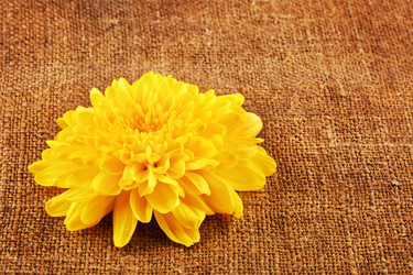 Similar image 10922334