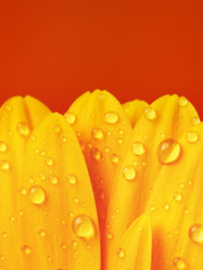 Similar image 10922365