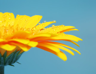 Similar image 10922366