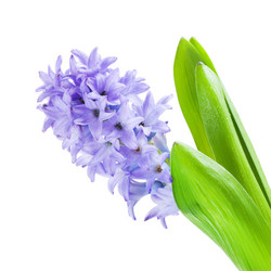 Similar image 10922369